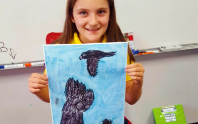 Studying The Black Cockatoo in Year 4/5 Literacy